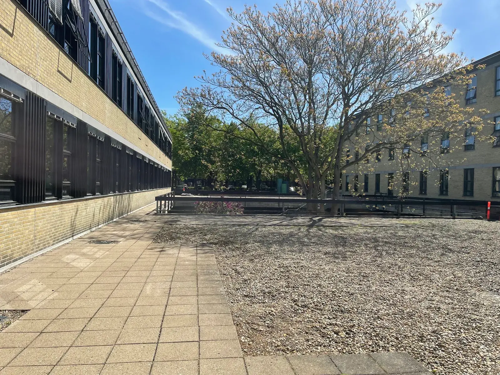 Technical University of Denmark