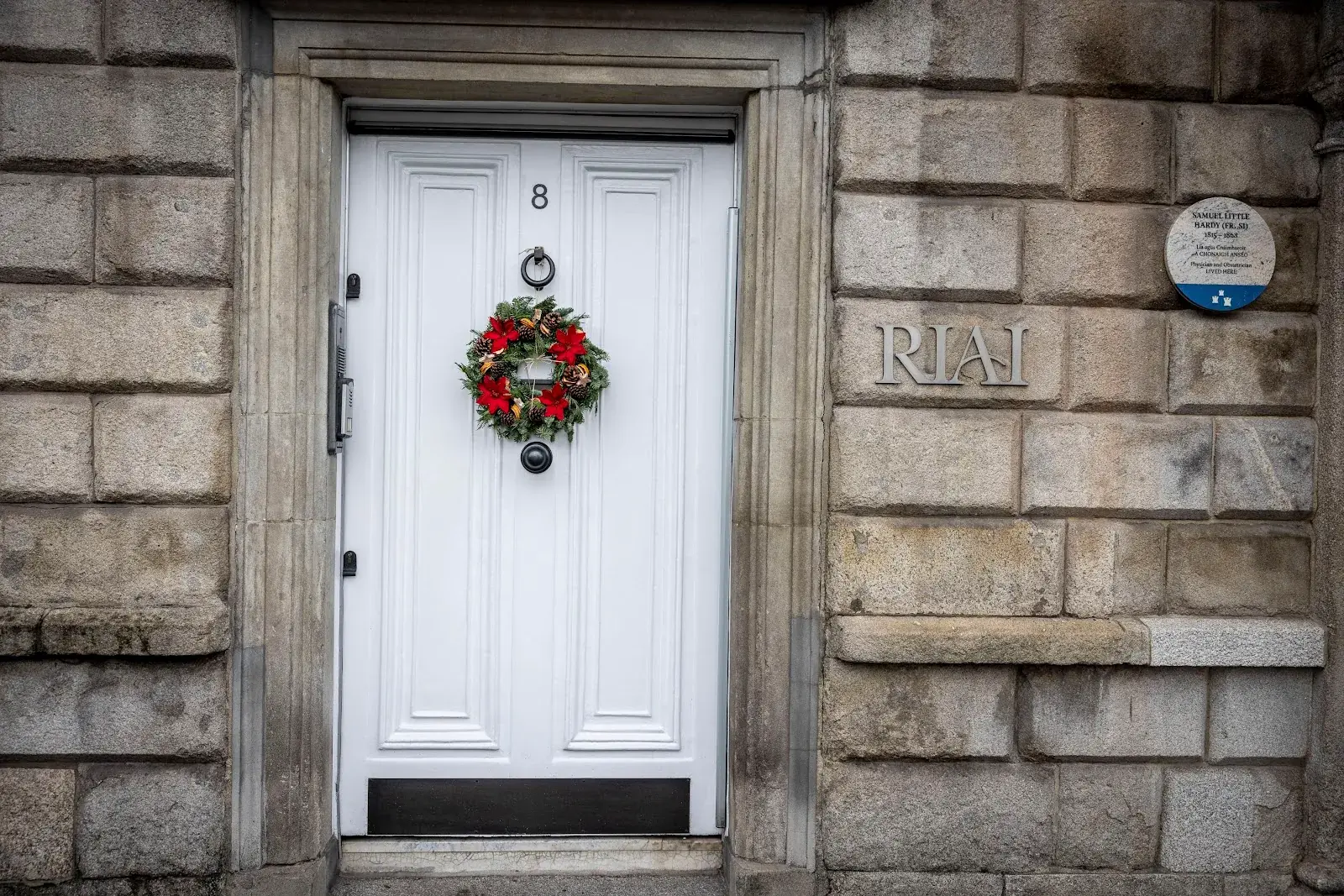 Royal Institute of Architects of Ireland (RIAI)