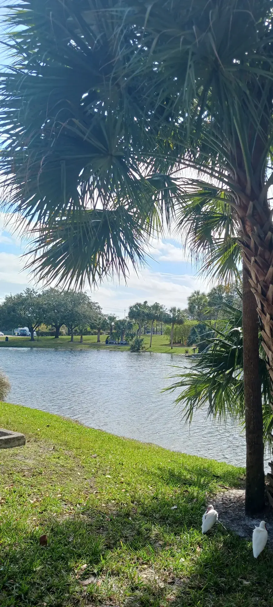 Broward College