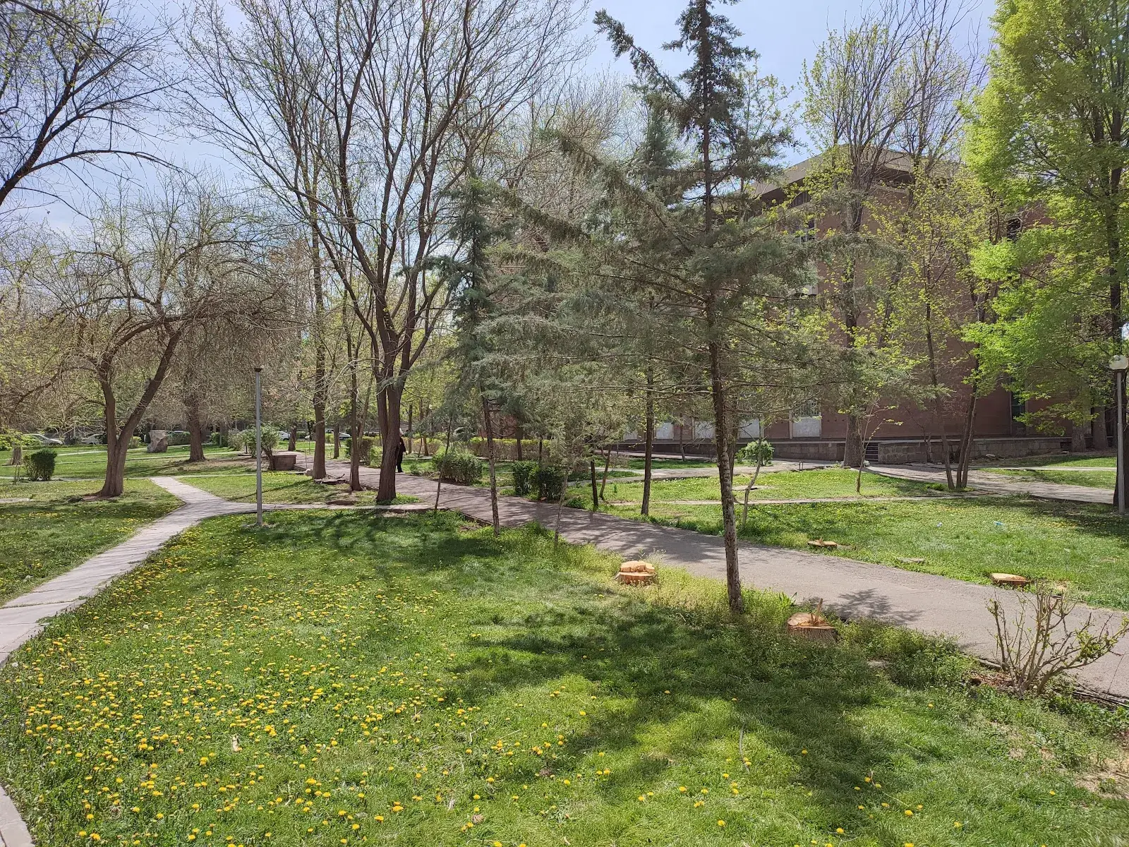 University of Tabriz