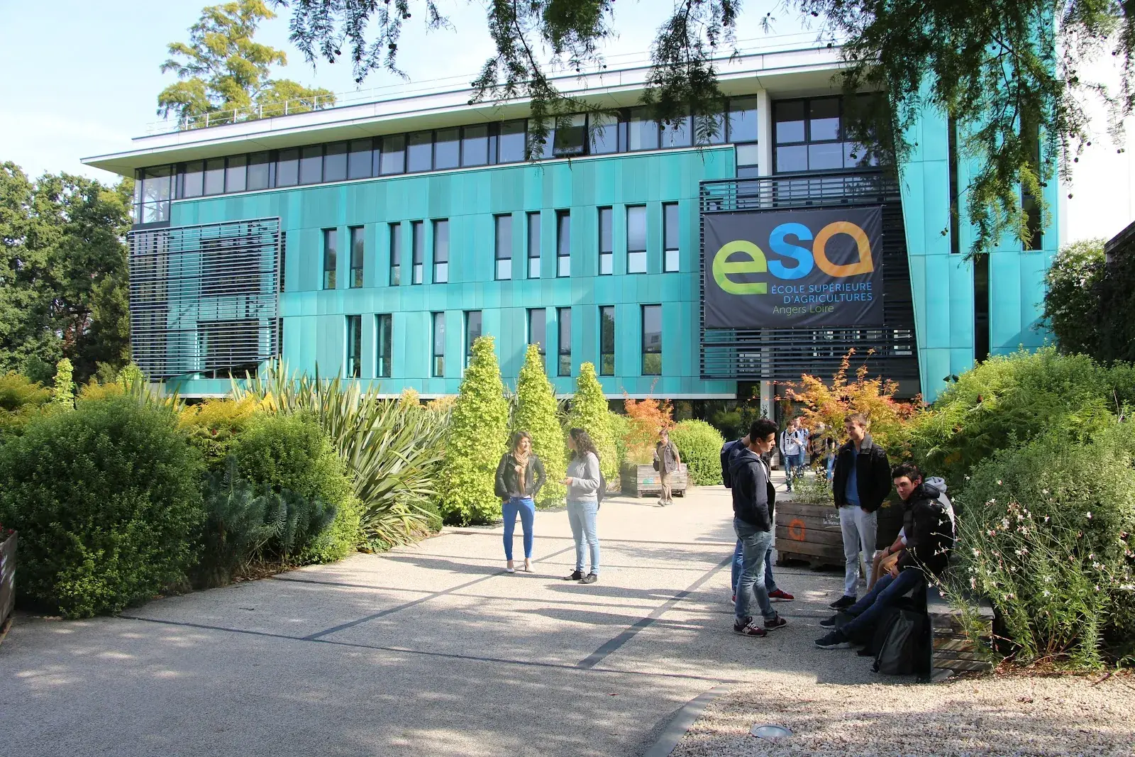BTS - Ecole Superieure D'Agriculture