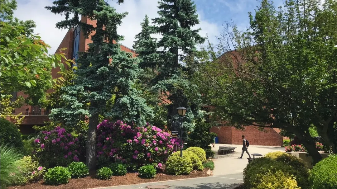 Adelphi University