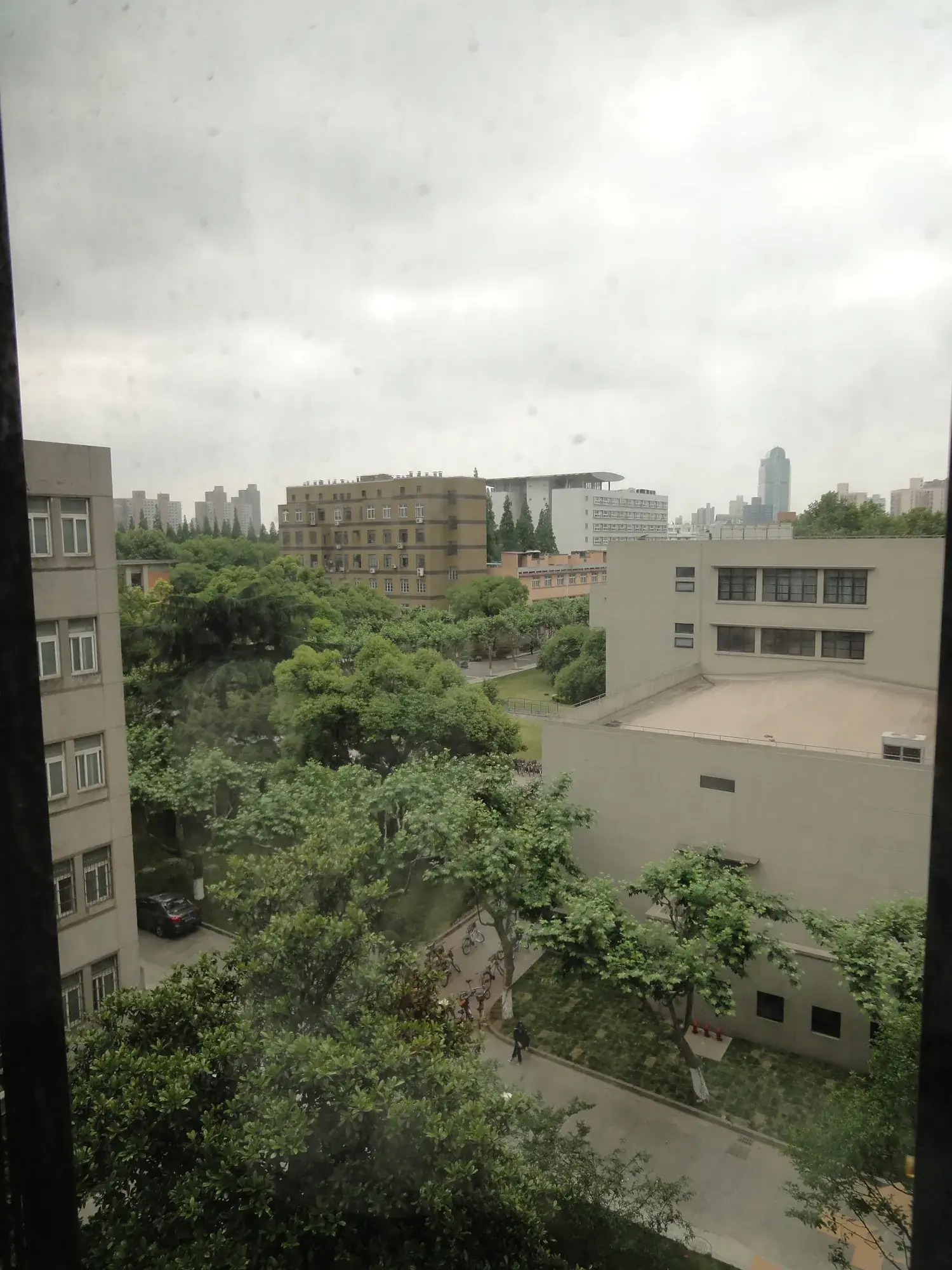 Tongji University