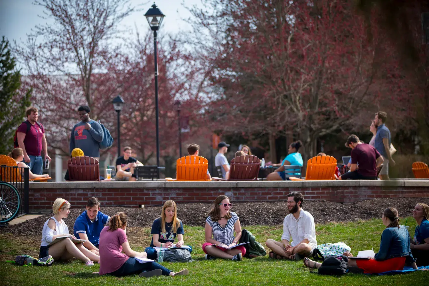 Susquehanna University