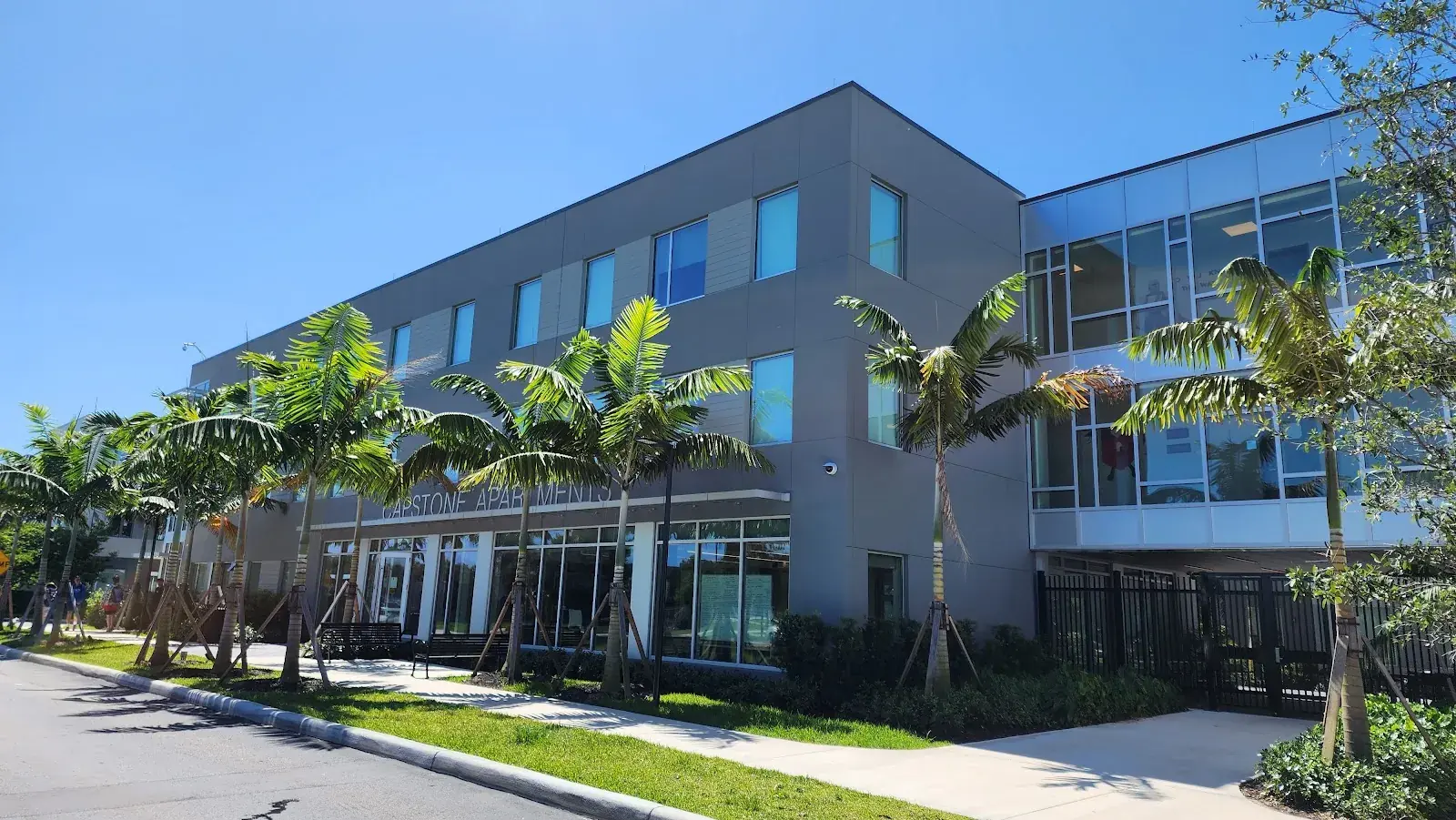 Lynn University