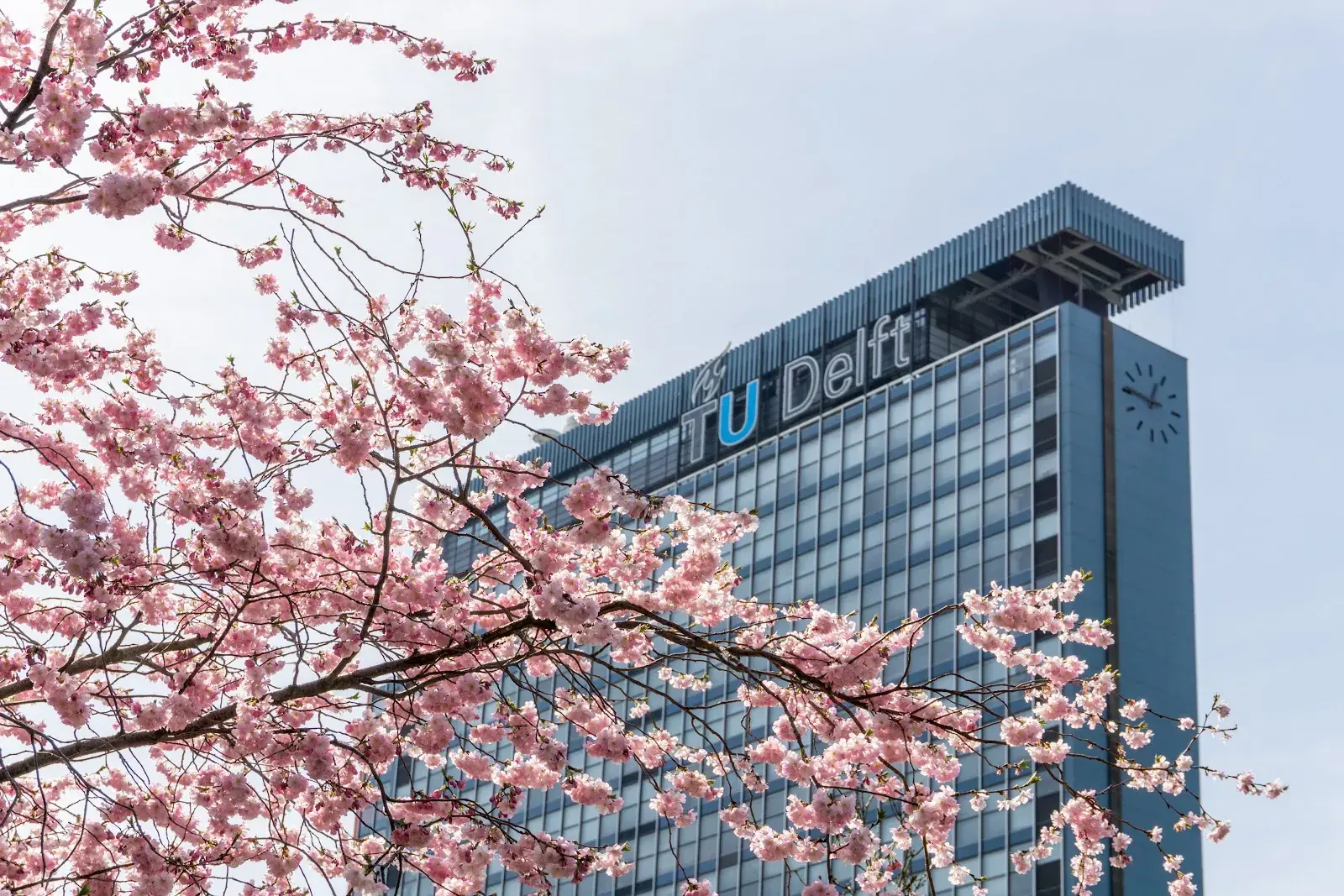 University of Delft