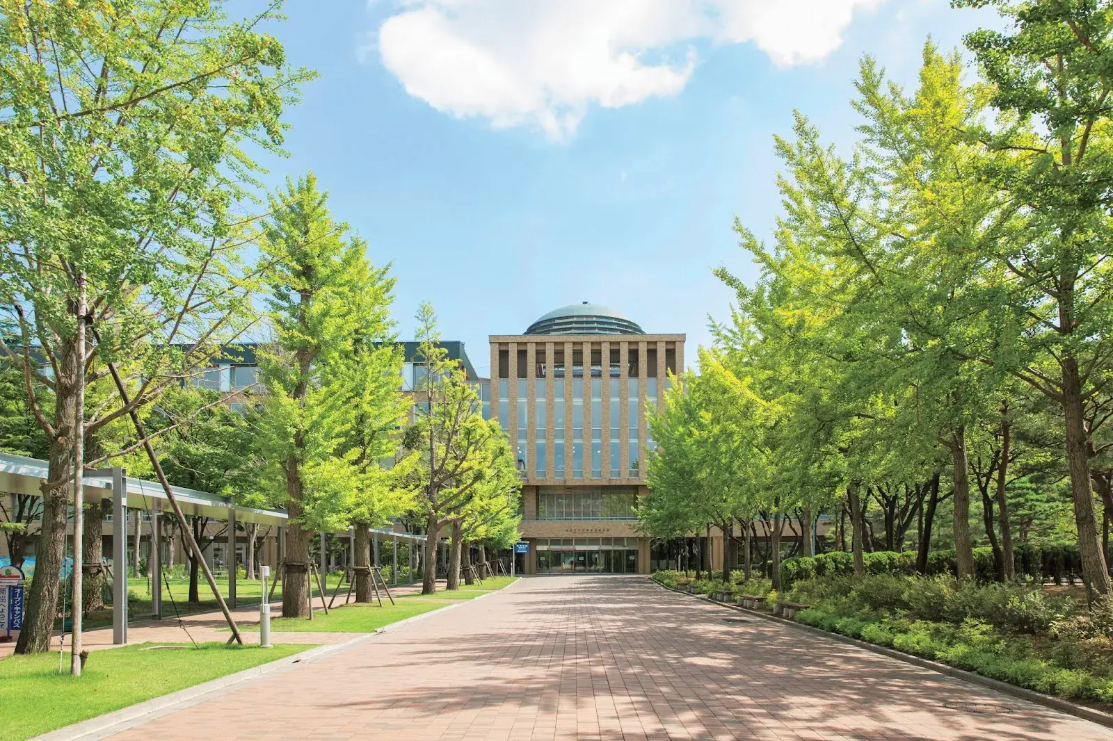 Dokkyo University