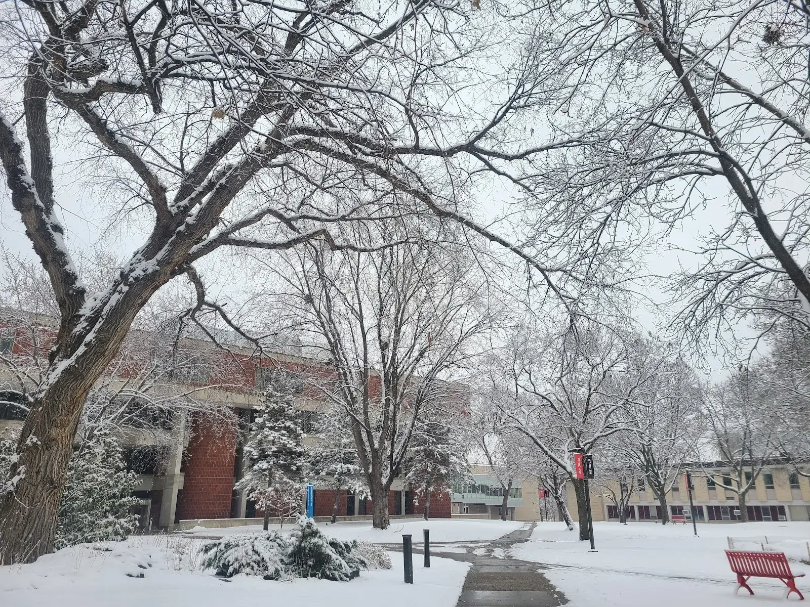 St. Cloud State University