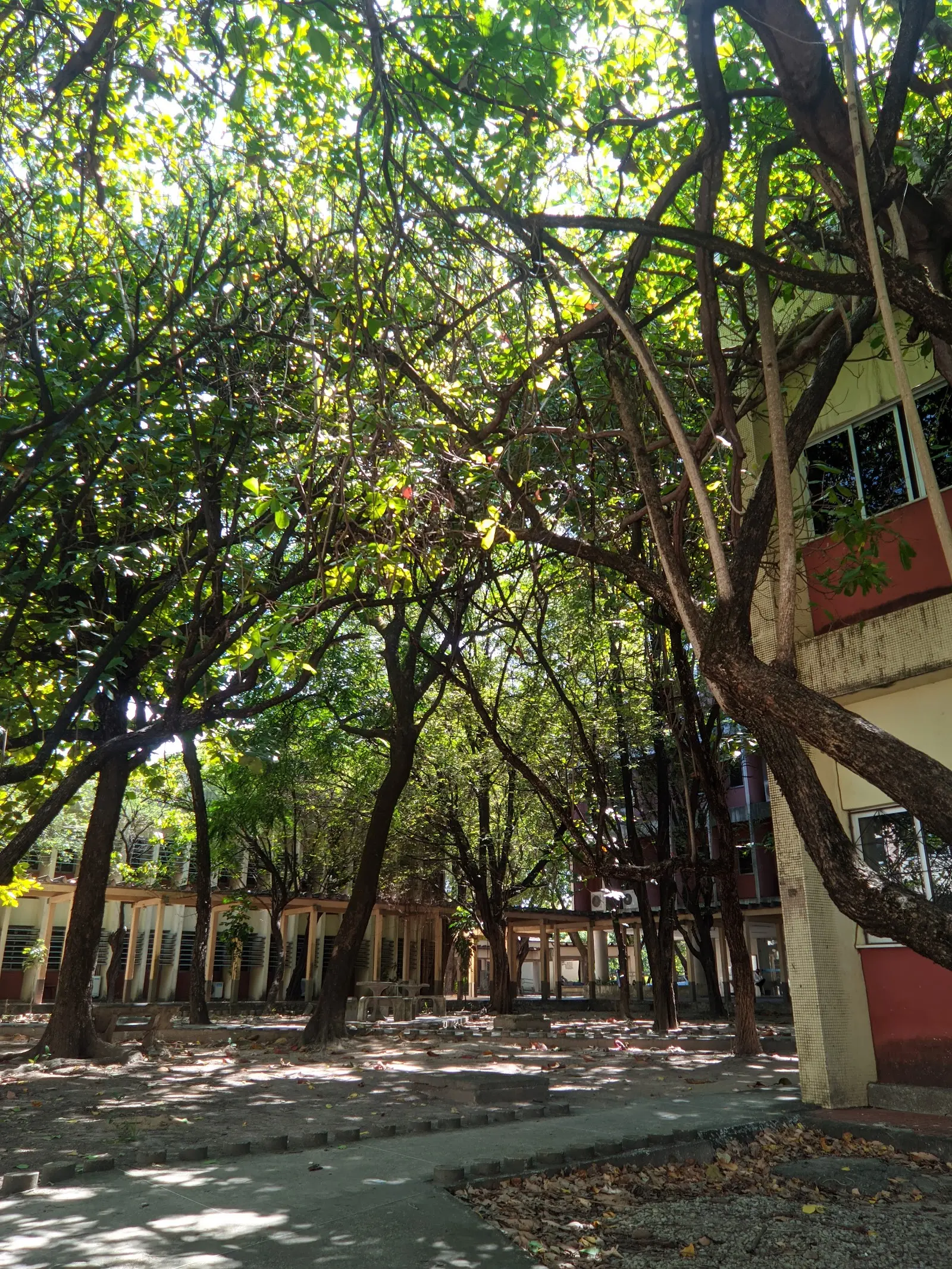 Universidade Federal do Ceara