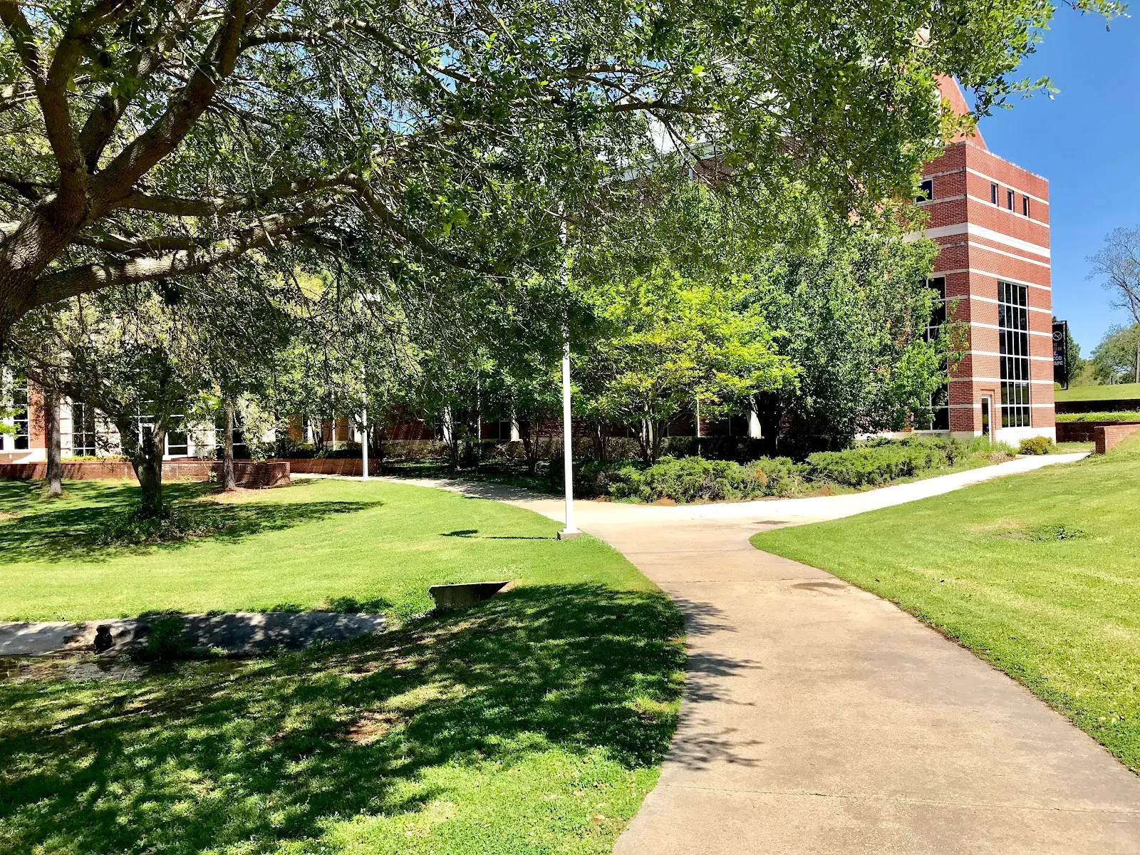 Alcorn State University