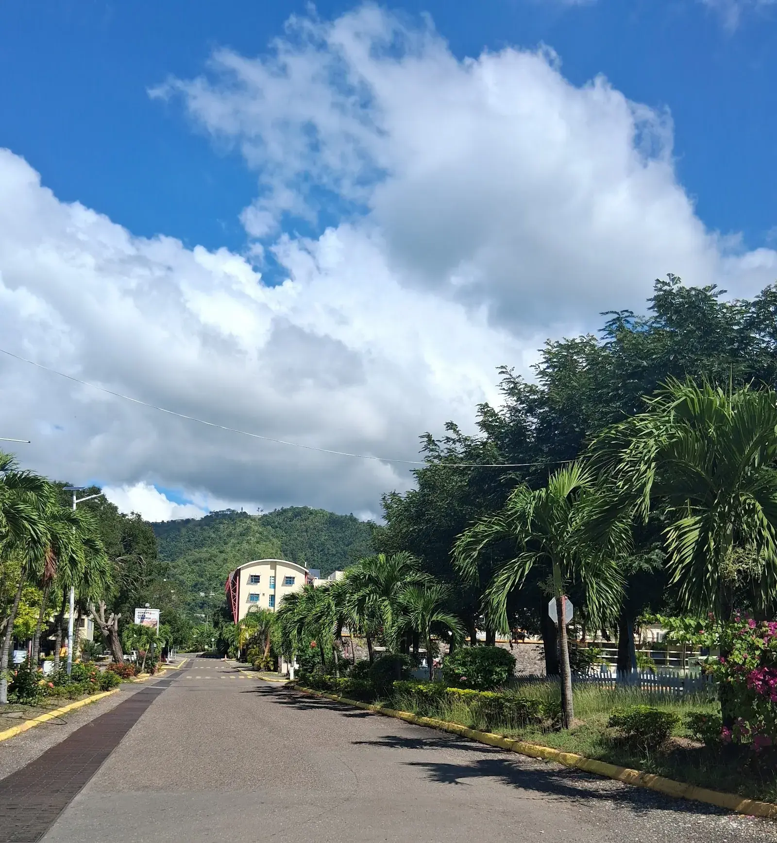 University of Technology, Jamaica