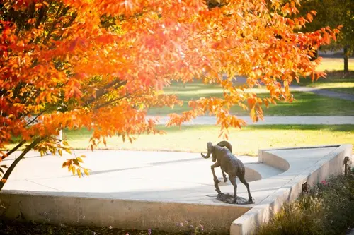 Delaware Valley College