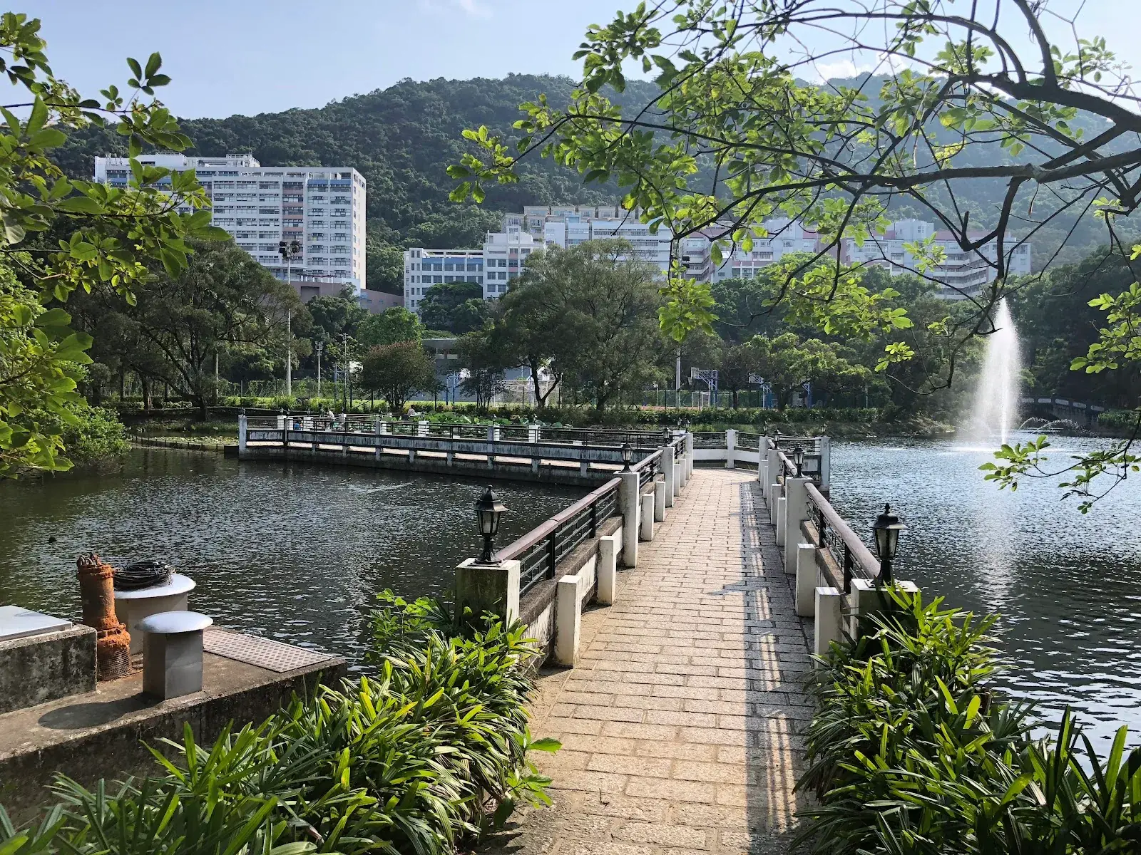 The Chinese University of Hong Kong