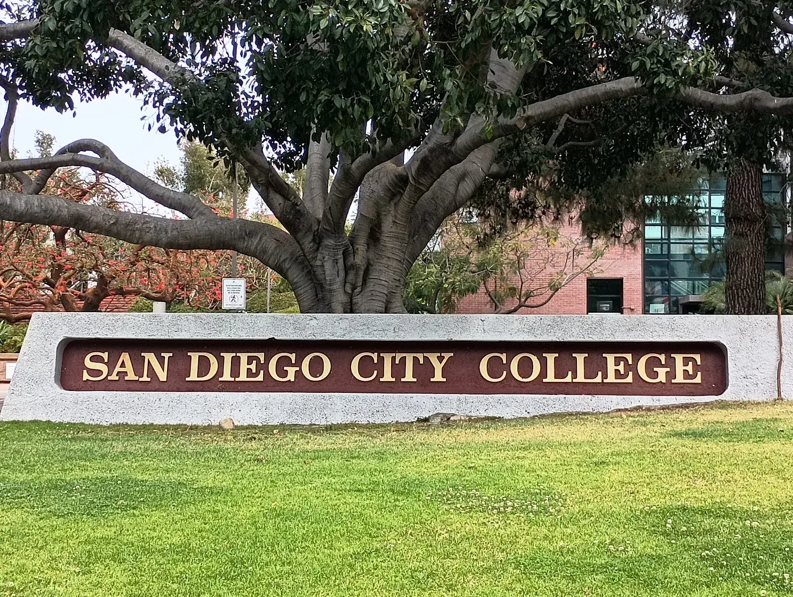 San Diego City College