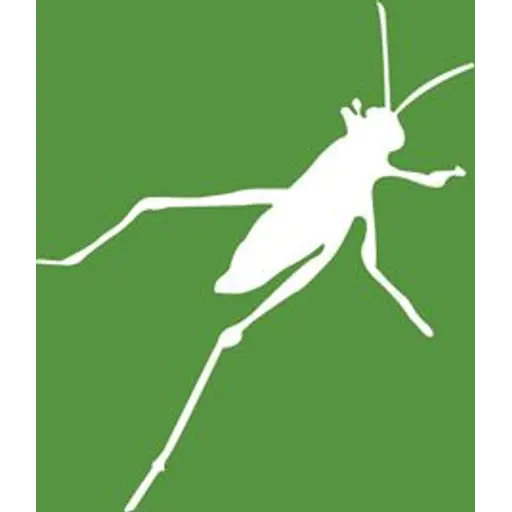 Grasshopper