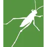 Grasshopper